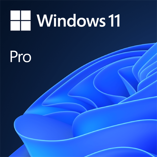 Microsoft Windows 11 Professional DVD Single User License-0