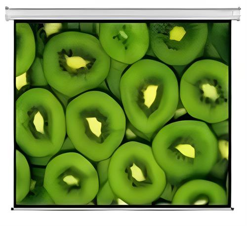 Esquire Electric Projector Screen 300 X 169-0