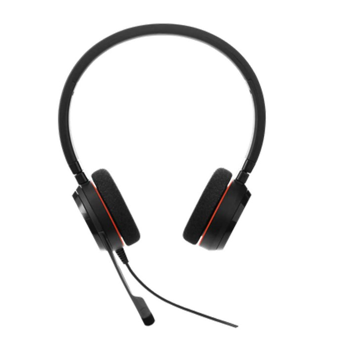 Jabra Evolve 20 Headset with Mic