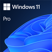 Microsoft Windows 11 Pro DSP